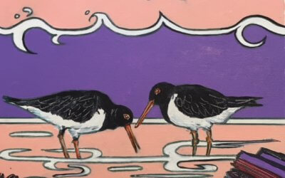 Oystercatchers