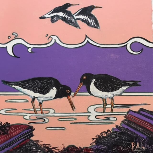 Oystercatchers